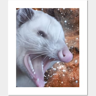 Angry possum Posters and Art